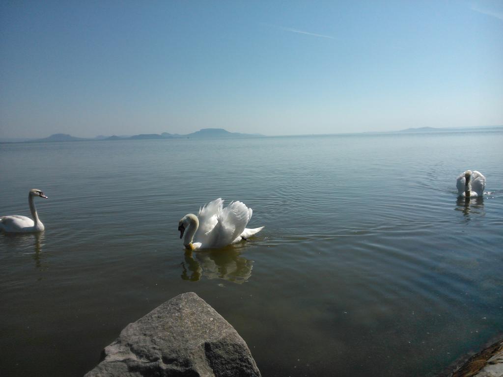 Angela Haz Apartment Balatonbereny Bilik gambar